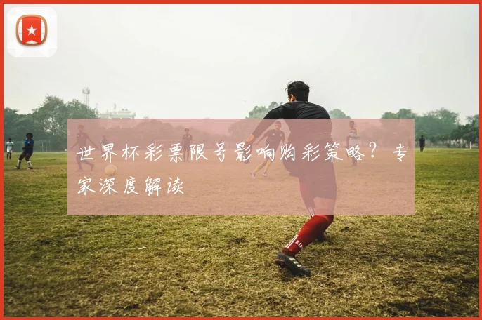 世界杯彩票限号影响购彩策略?专家深度解读