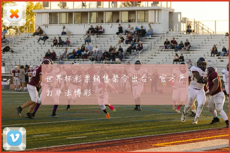 世界杯彩票销售禁令出台,官方严打非法博彩